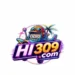 HI309 Game